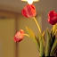 hogh Hotel Heilbronn