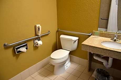 1 King Bed Suite Comm Accessible Tub