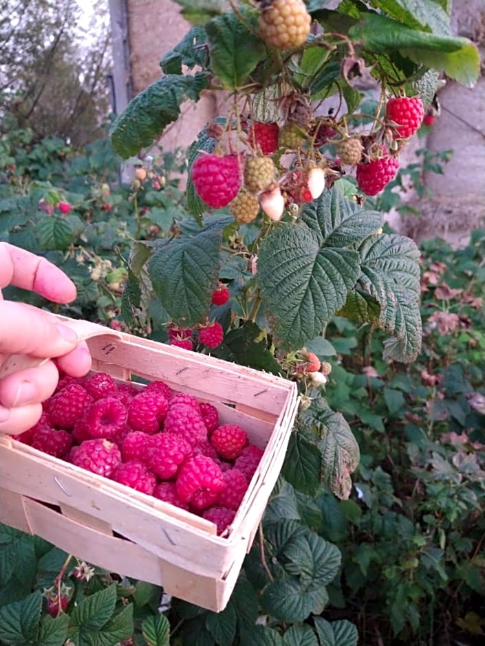 Agroturystyka Cold Sea