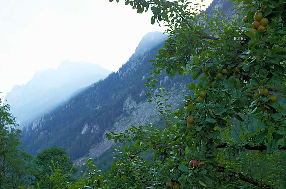 Hotel B&B "Zur Schanz"