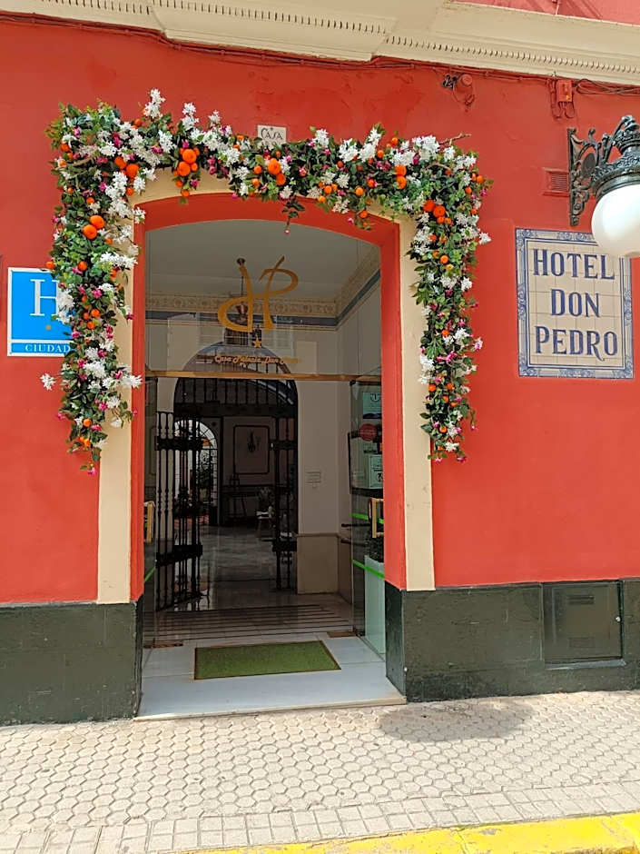 Casa Palacio Don Pedro