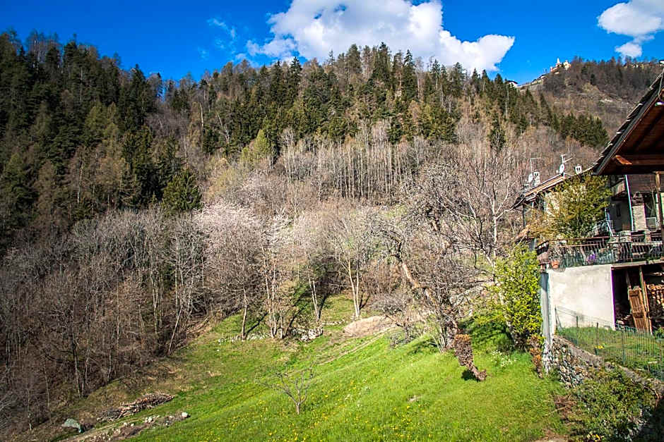 Agriturismo La Clochette