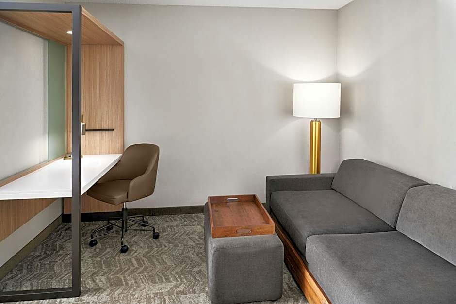 SpringHill Suites by Marriott Lansing