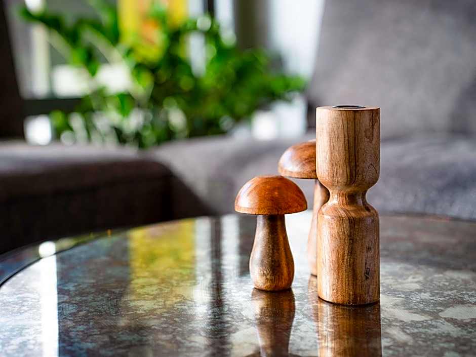 ibis Styles Chatenay Malabry Paris Sud