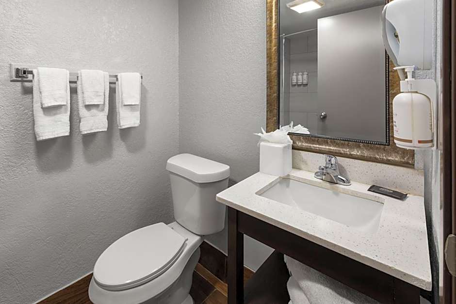 Baymont by Wyndham Downtown Detroit