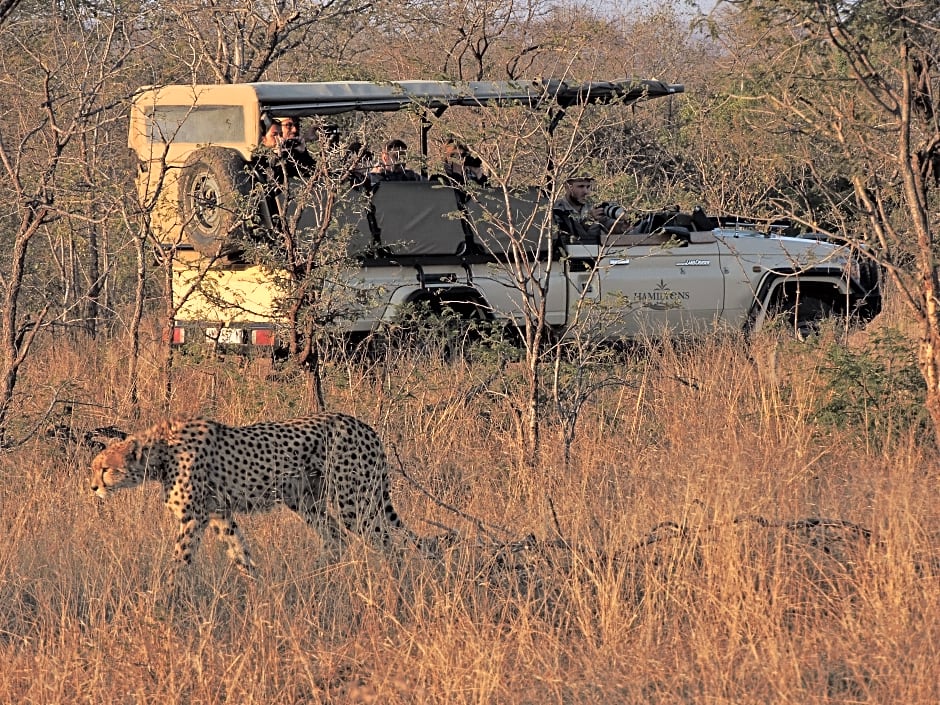 Hamiltons Tented Camp