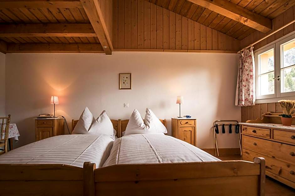 Historic Hotel Falken