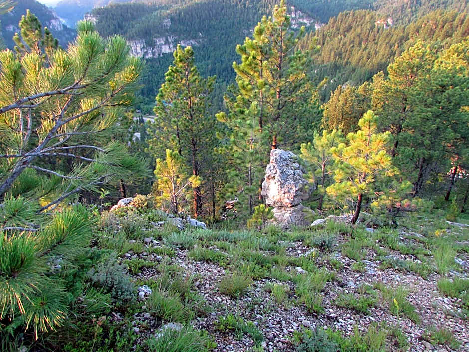 Spearfish Canyon Lodge