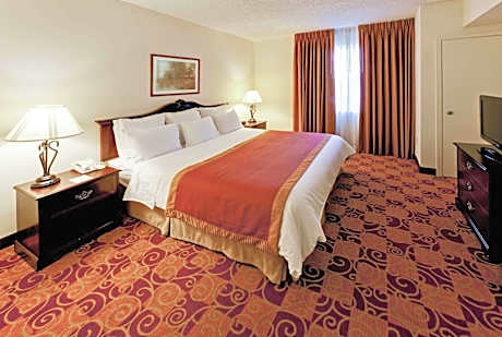 One-Bedroom King Suite - Non-Smoking