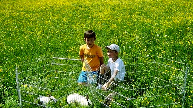 Jugendgästehaus Gosauschmied