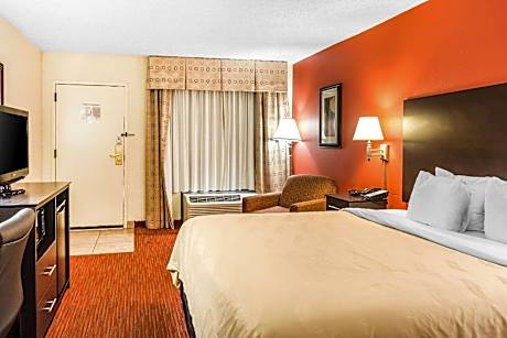 1 King Bed, Business Room, Smoking