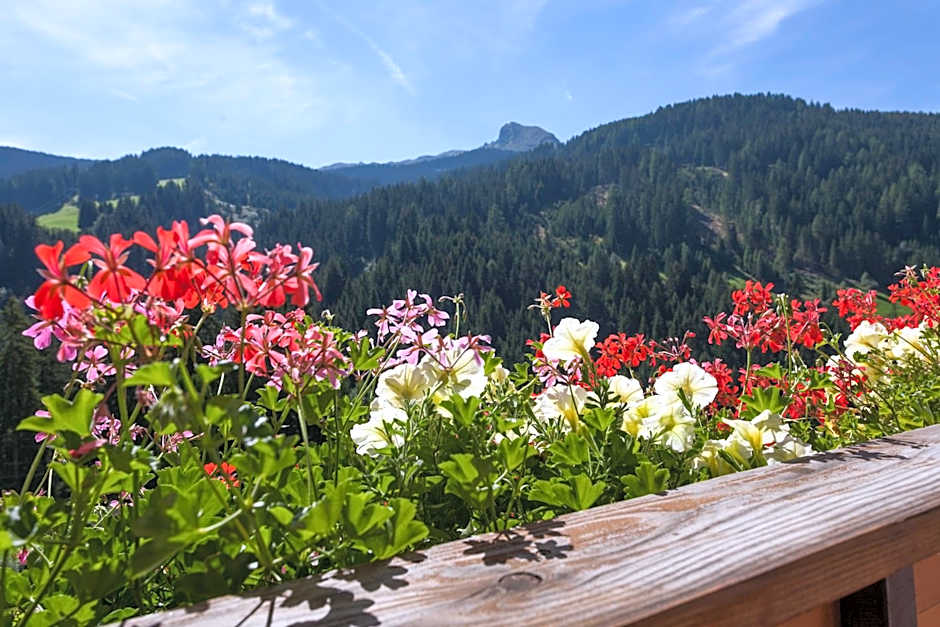 Alpenspitz Appartements - Garni - B&B
