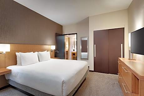 Accessible Suite | King Bed / Roll-in Shower (Plus Sofa Bed)