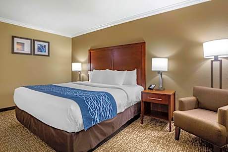 Deluxe Room, 1 King Bed, Non Smoking