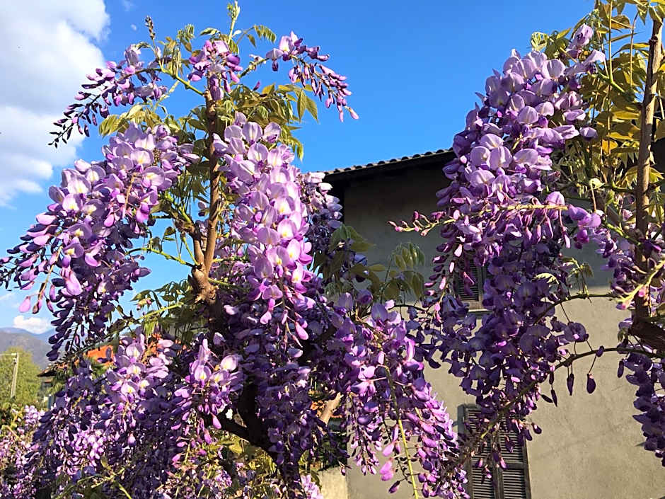 B&B Villa Dei Pini