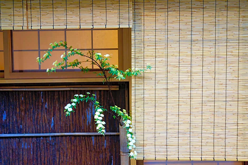 Mitsuki Kyoto