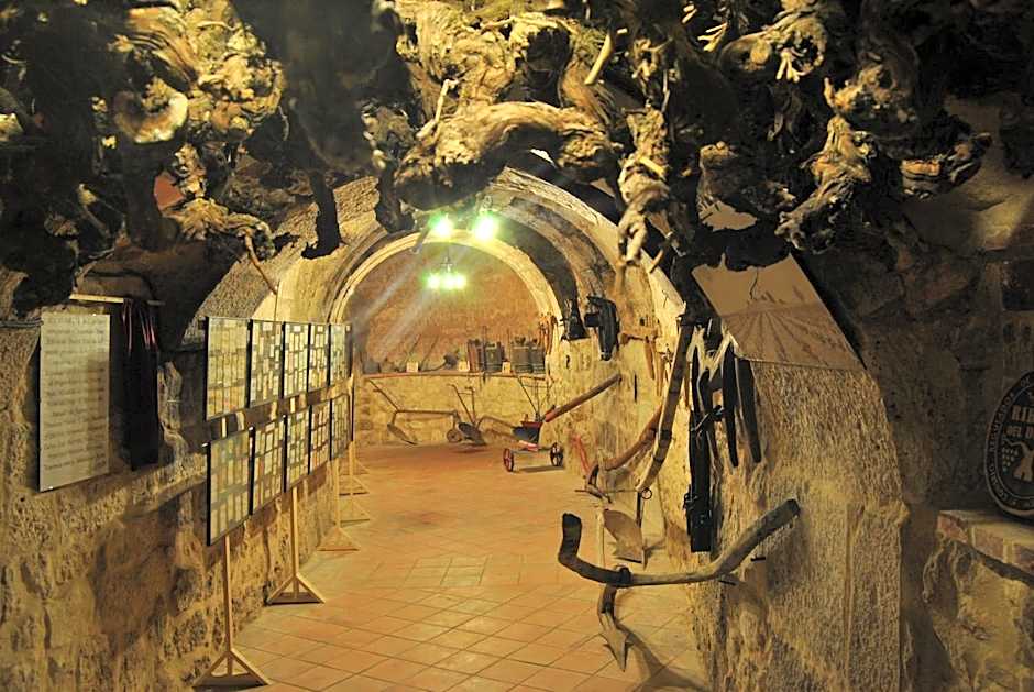 Hotel Milagros Rio Riaza