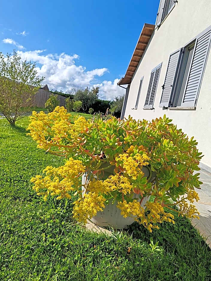 Residence la Pace - Pool & Relax