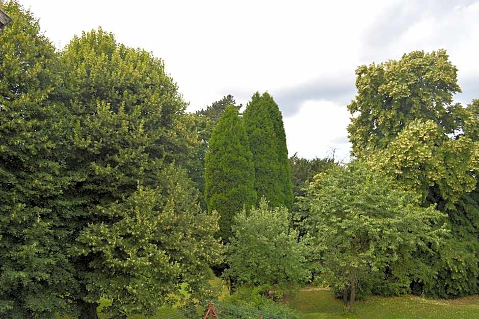 B&B Chatelet Cremers