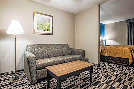 1 King Bed, Suite, Nonsmoking, Accessible