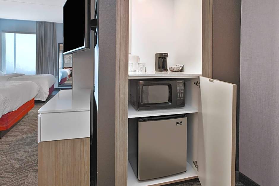 SpringHill Suites by Marriott Chattanooga North/Ooltewah