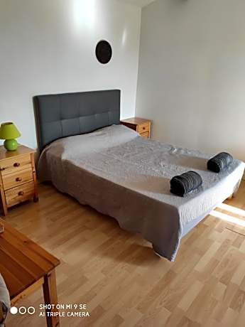 Studio with Garden View