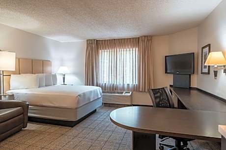 Studio Queen Suite with Roll-In Shower - Mobility Accessible