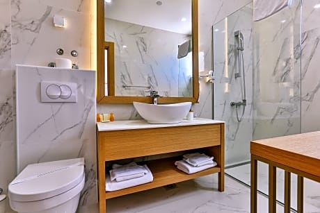 Standard double room