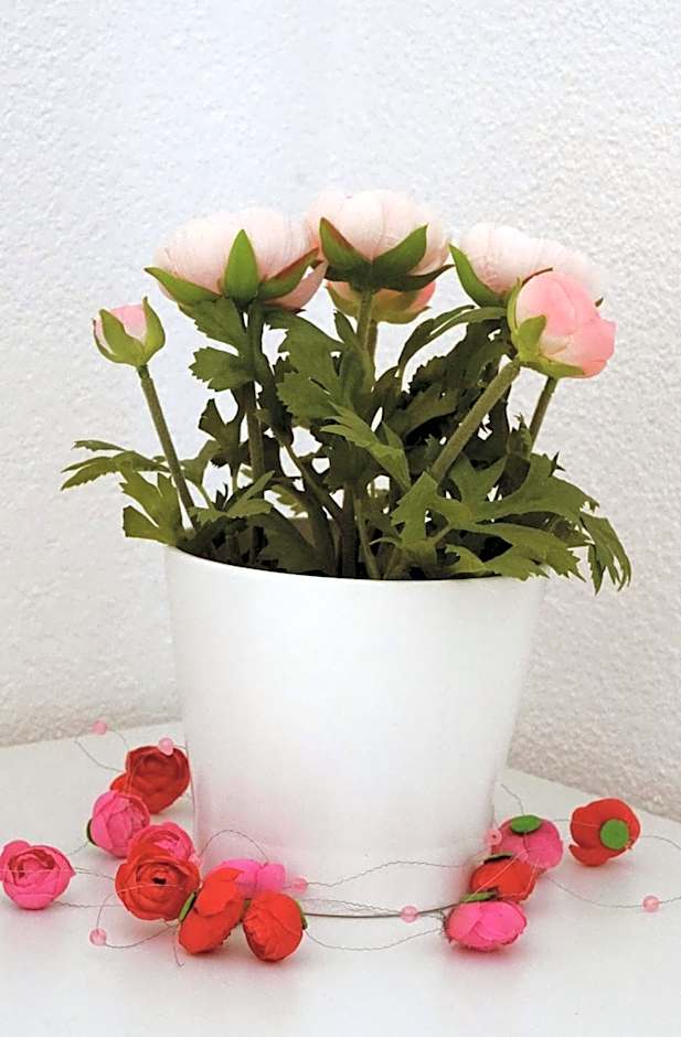 Adventure Guesthouse Interlaken