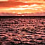 Hakuna Majiwe Beach Resort