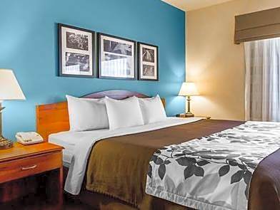 1 Queen Bed Nonsmoking