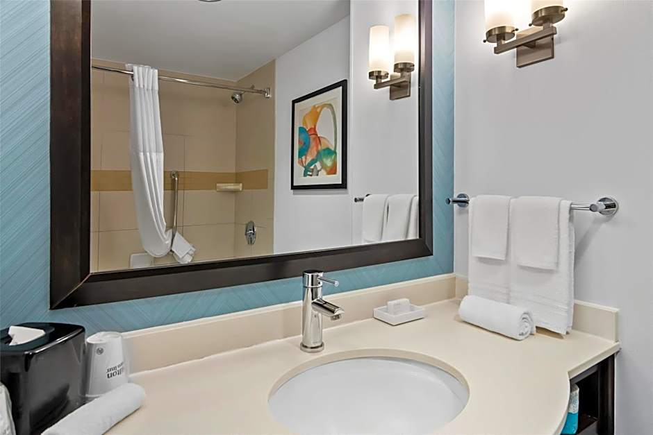 Hilton Garden Inn Chicago Downtown/North Loop