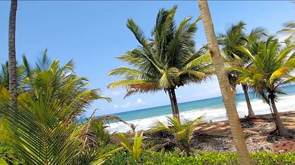 Pousada Obedemar - Taipu de fora, Barra Grande, Ba