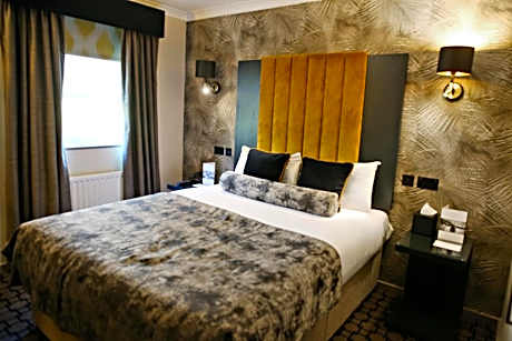 Double Contemporary Standard Room