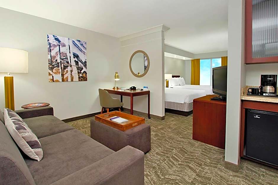 SpringHill Suites by Marriott Chesapeake Greenbrier