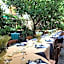 Hotel Mimosa