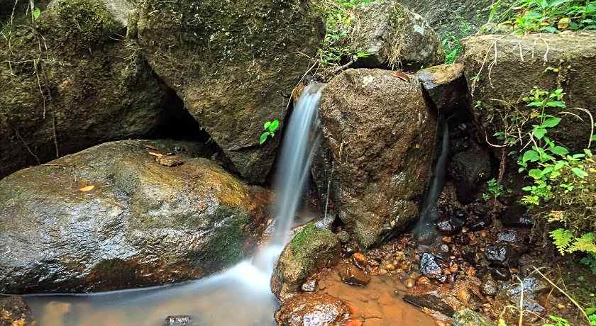 Neelakurunji Plantation Munnar