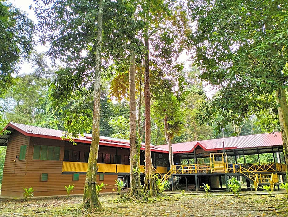 Borneo Jungle Adventure