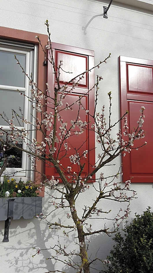 Hotel Mainblick Garni