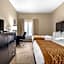Comfort Inn & Suites Atlanta/Smyrna