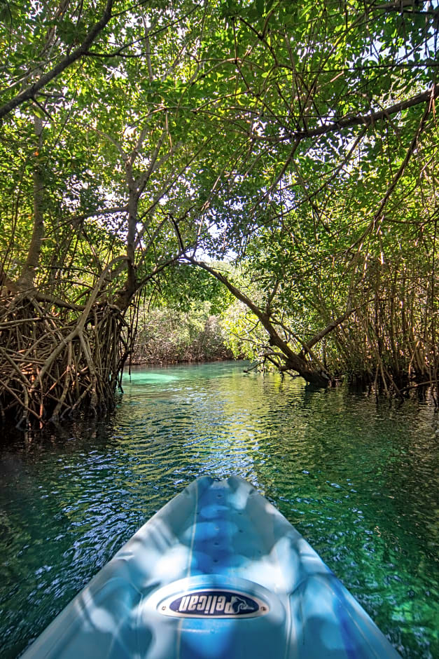 Hacienda Tres Rios Resort Spa & Nature Park - All Inclusive