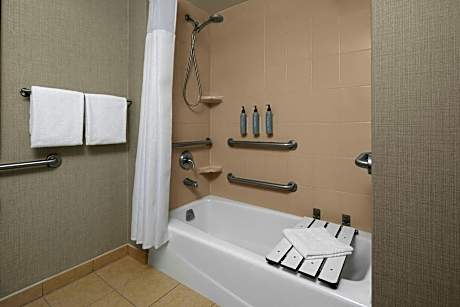 Studio, 1 Queen Bed with Sofa bed (Mobility/Hearing Accessible, Tub)