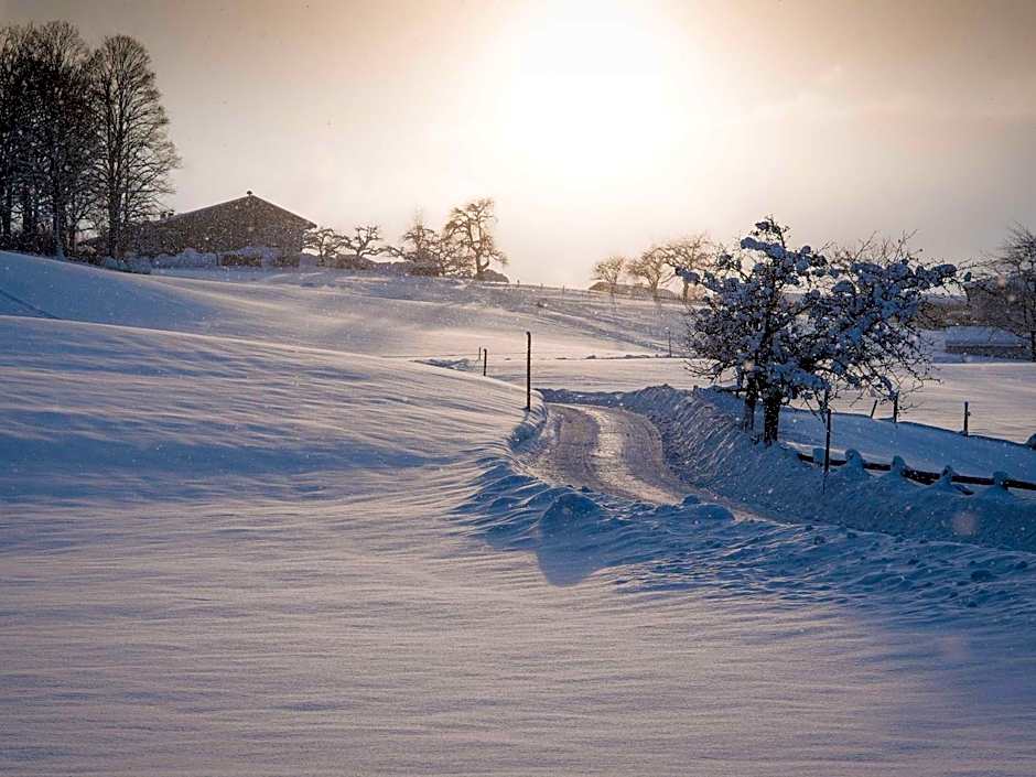 Unterwirt - Restaurant & Gasthof Ebbs