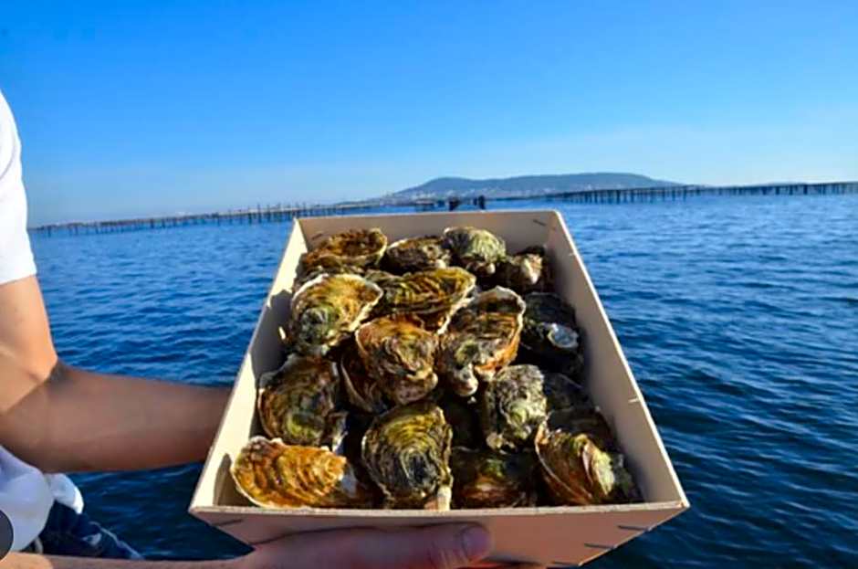 Les Lofts de Bouzigues - Jacuzzi privé - Plage 350m