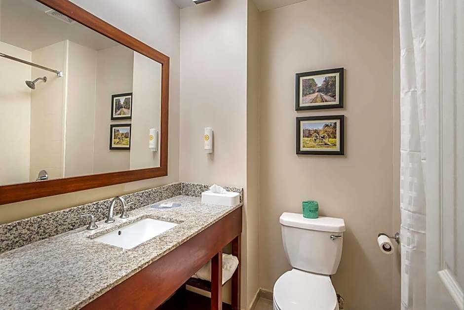Comfort Inn Petersburg Fort Lee Area