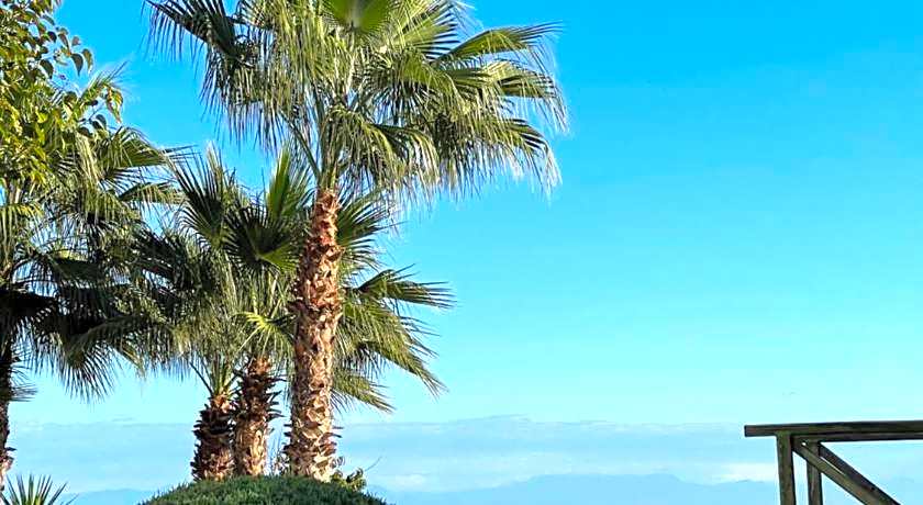 Amsterdam  Otel & Suit