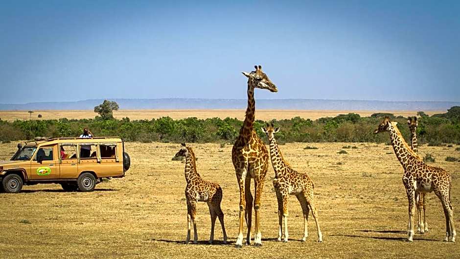 Mara Leisure Camp