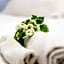 B&B Casetta Roma