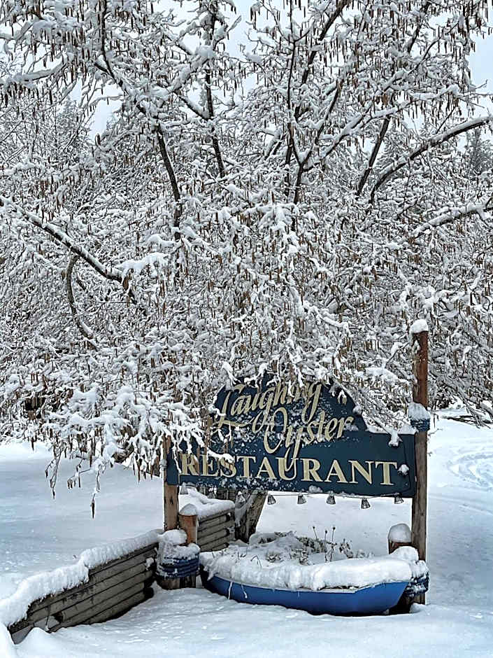 Gracies Grotto Cabin