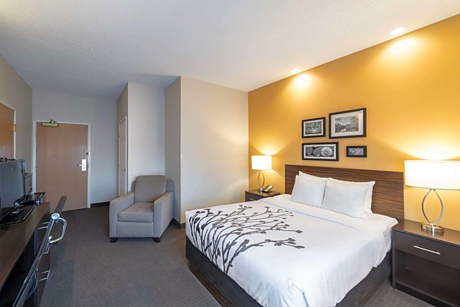 Sleep Inn & Suites Green Bay South